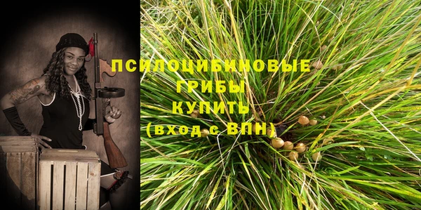 прущая мука Бронницы