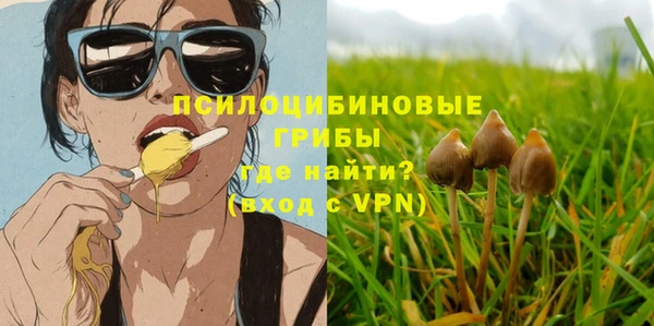 стафф Бородино