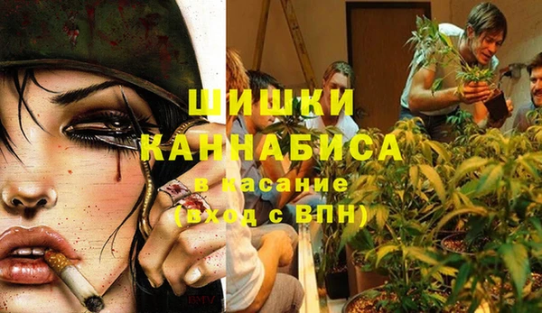 стафф Бородино