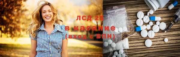 стафф Бородино