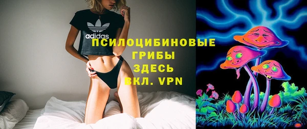 стафф Бородино