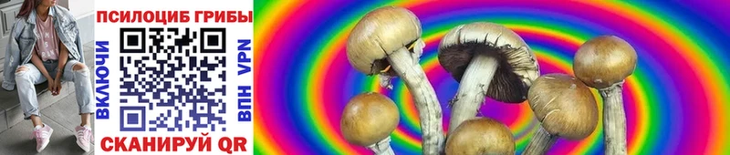 Галлюциногенные грибы Cubensis  Купить  Лукоянов 